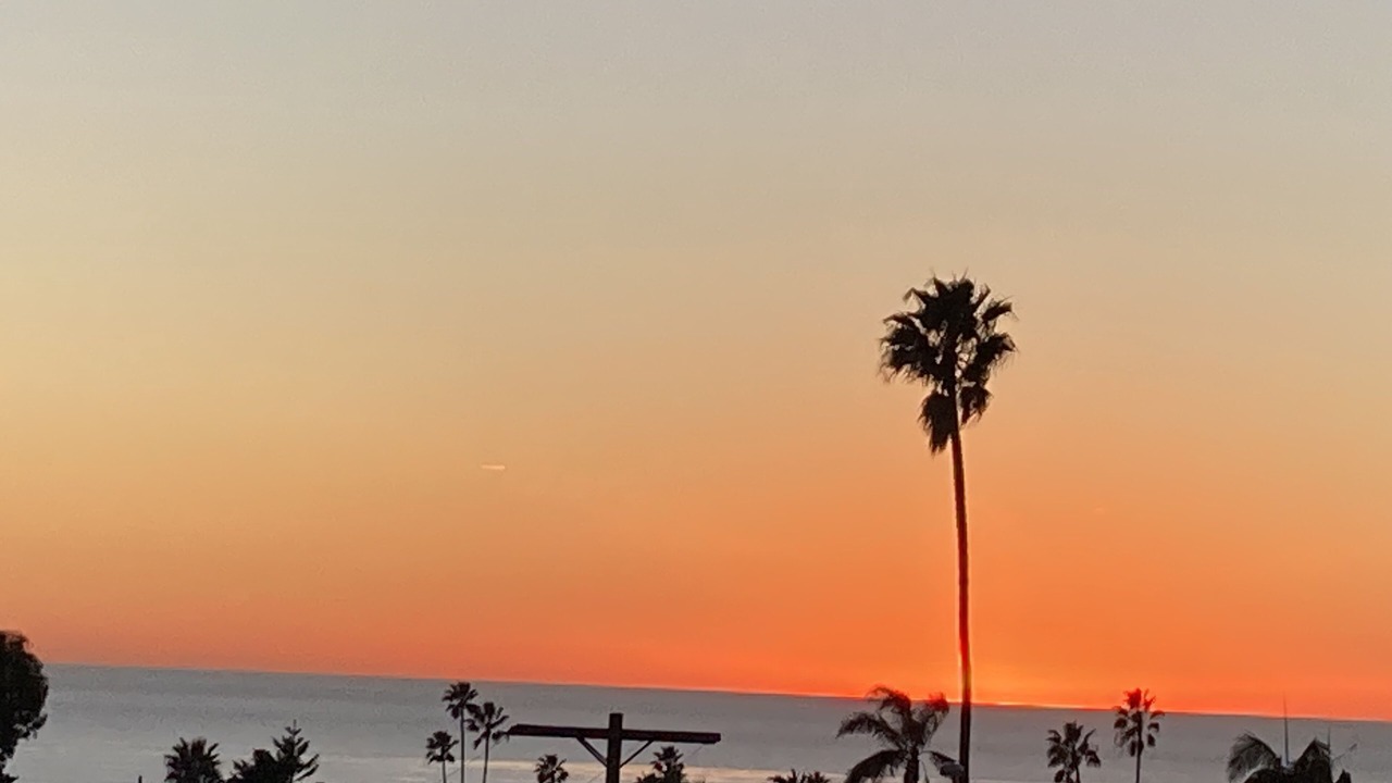 Photo of Outdoor in La Jolla Mesa