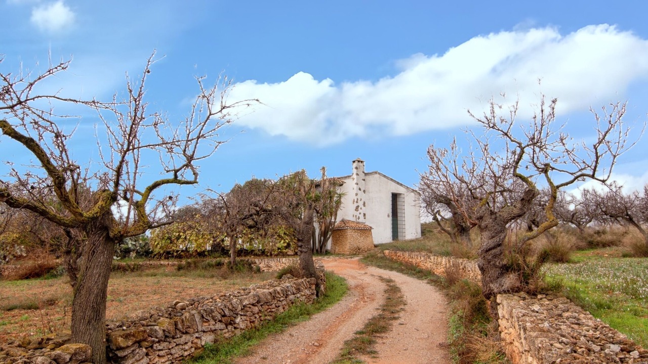 Photo of Outdoor in Vall d'Alba