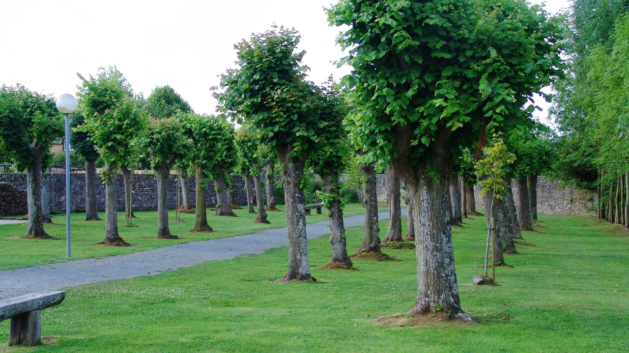 Photo of Outdoor in Montmartin-sur-Mer