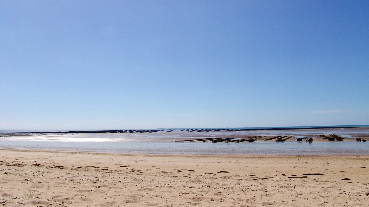 Photo of Others in Montmartin-sur-Mer