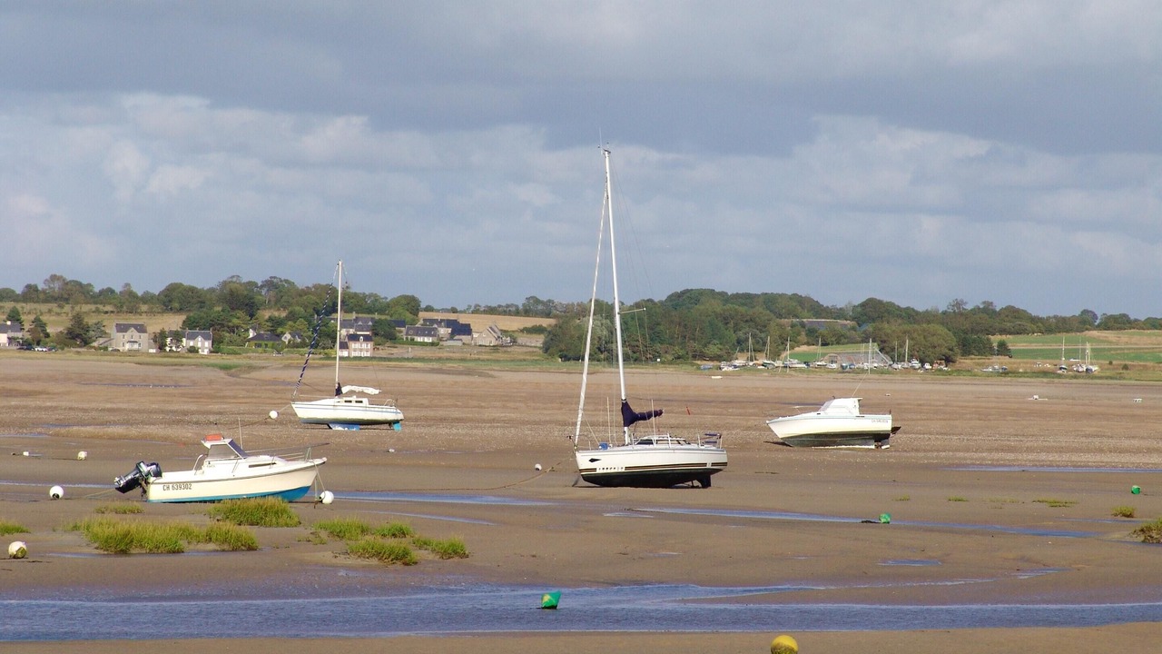 Photo of Others in Montmartin-sur-Mer