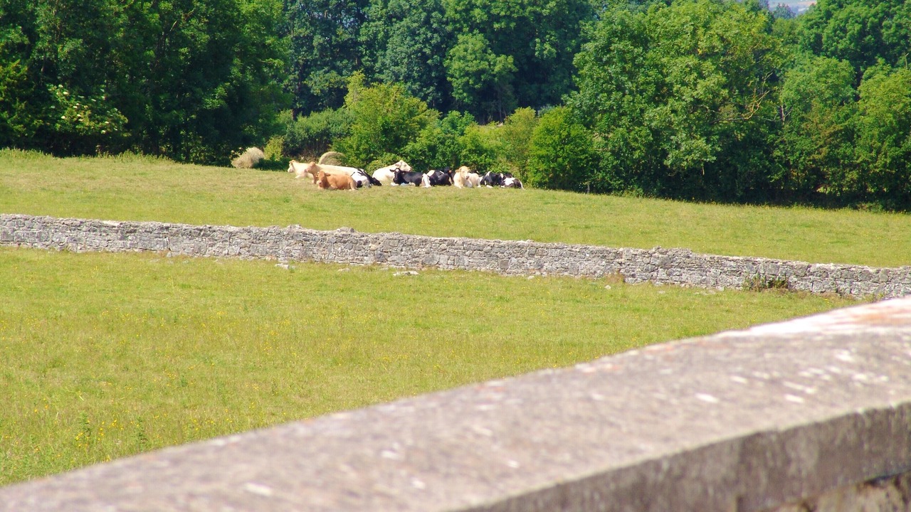 Photo of Outdoor in Montmartin-sur-Mer