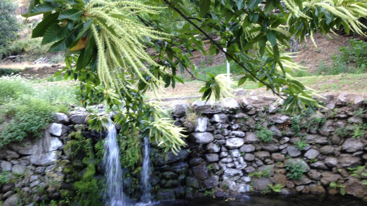 Photo of Outdoor in Robledillo de Gata