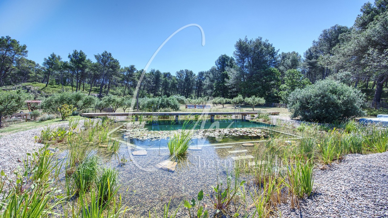 Photo of Outdoor in St.-Remy-de-Provence