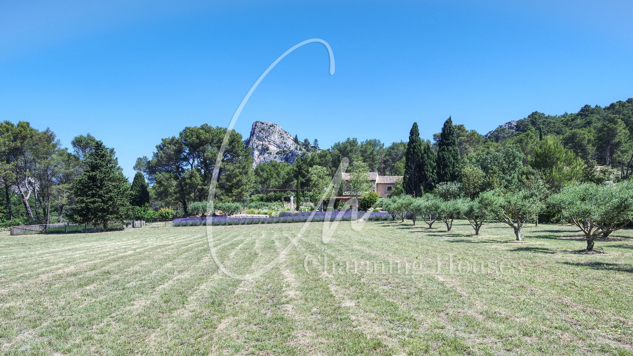 Photo of Others in St.-Remy-de-Provence