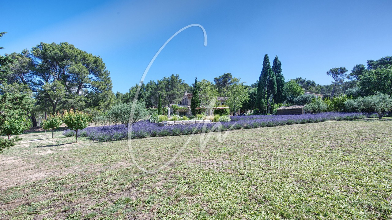 Photo of Others in St.-Remy-de-Provence