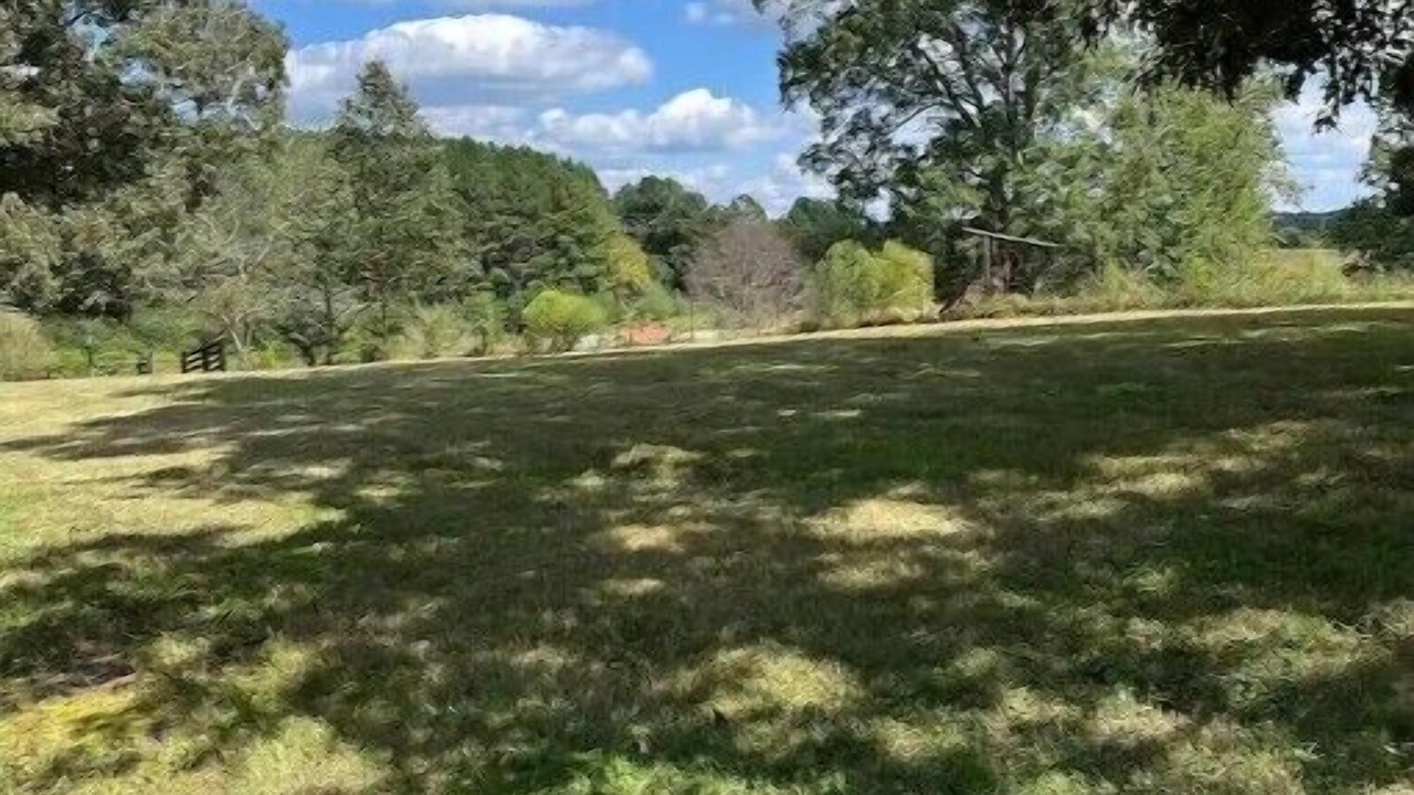 Photo of Outdoor in Cohutta