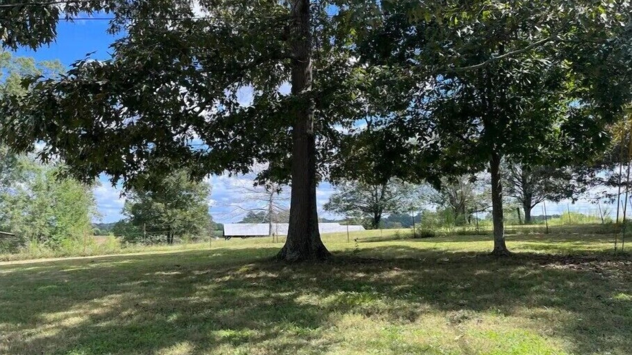 Photo of Outdoor in Cohutta