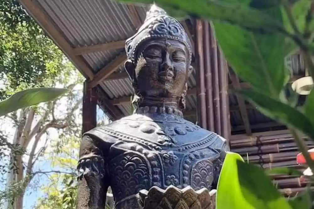 Photo of Outdoor in Bannockburn