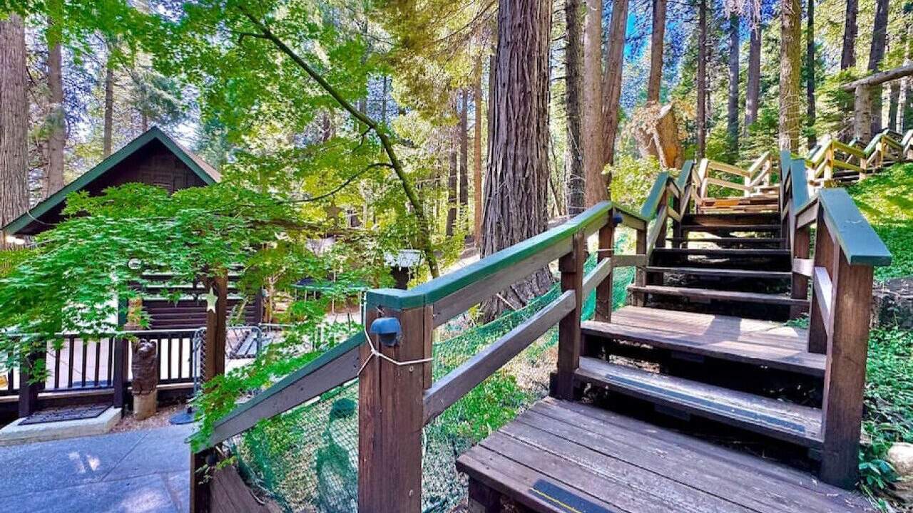 Photo of Outdoor in Pollock Pines