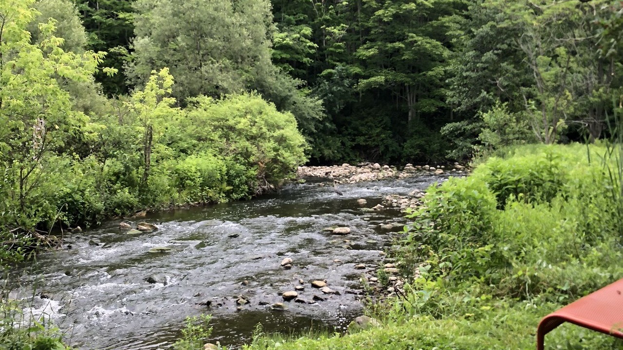 Photo of Others in Cazenovia