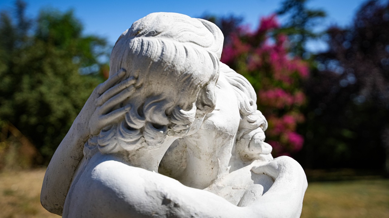 Photo of Outdoor in Graulhet