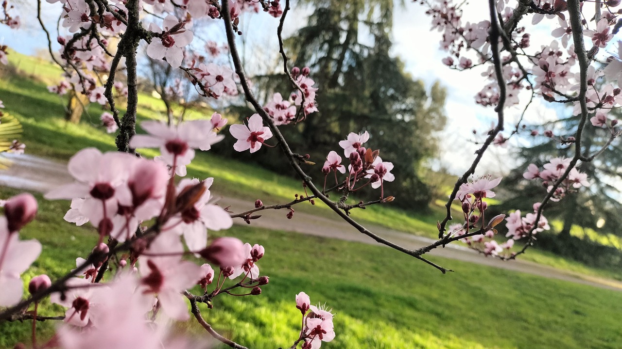 Photo of Outdoor in Graulhet