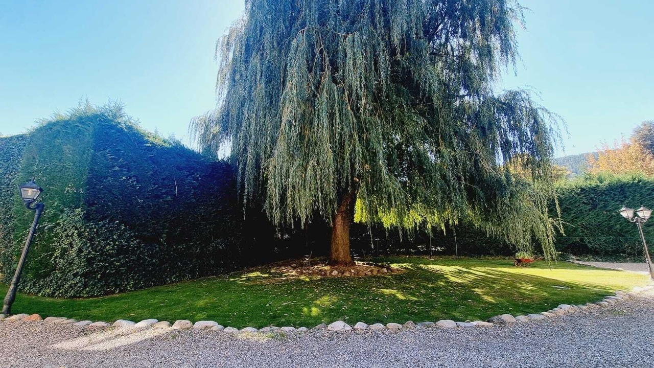 Photo of Outdoor in Latour-de-Carol