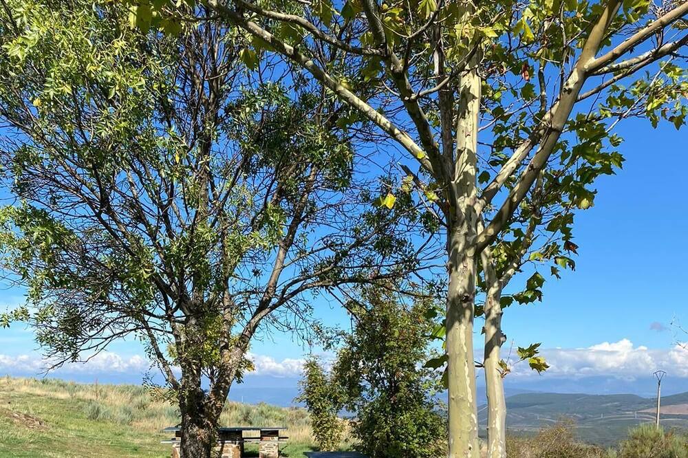 Photo of Outdoor in Espinoso de Compludo