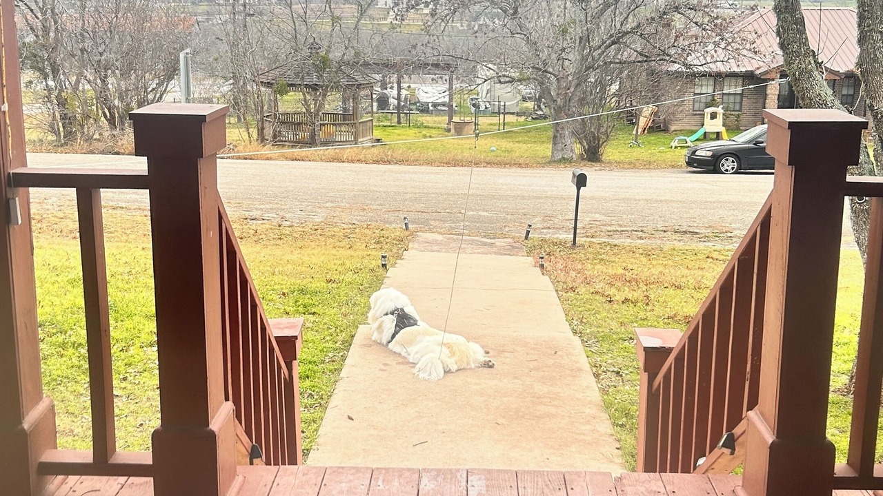 Photo of Patio Balcony in Coupland