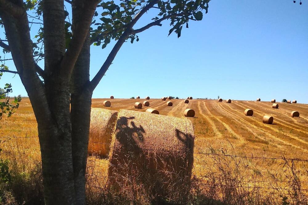 Photo of Outdoor in La Salvetat-Peyrales