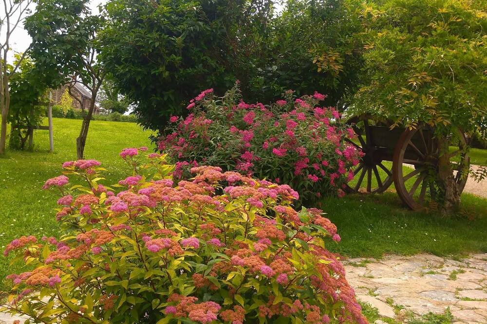 Photo of Outdoor in La Salvetat-Peyrales