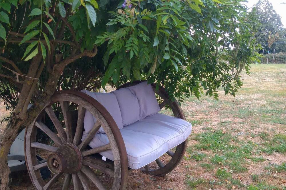 Photo of Outdoor in La Salvetat-Peyrales