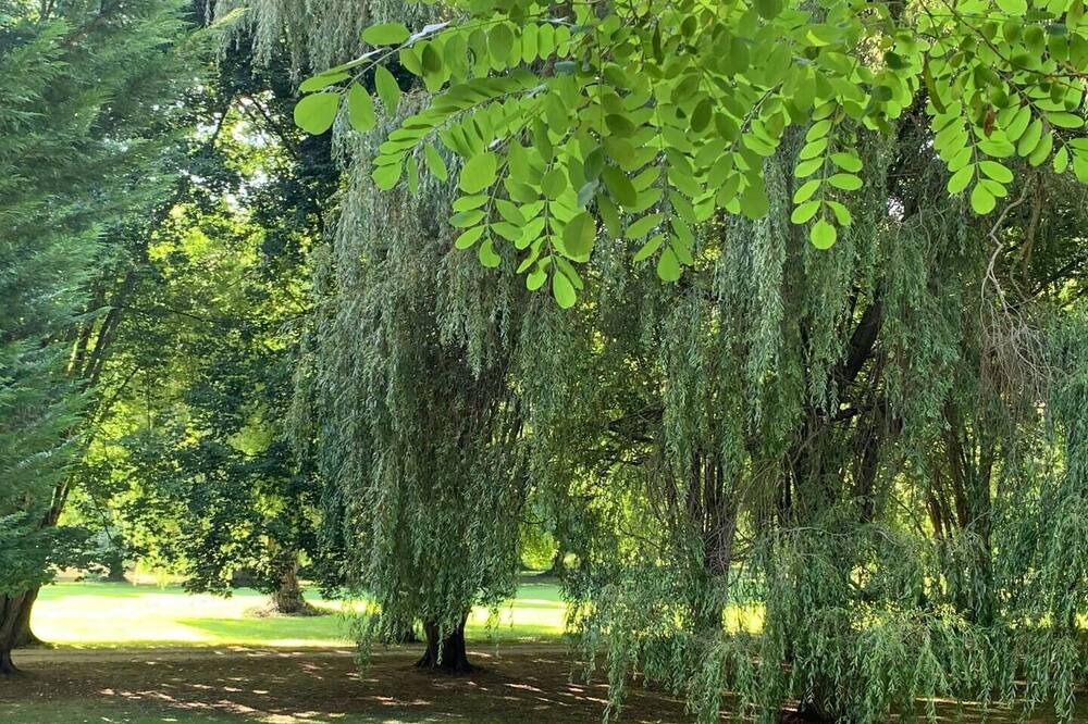 Photo of Outdoor in Ormoy-la-Riviere