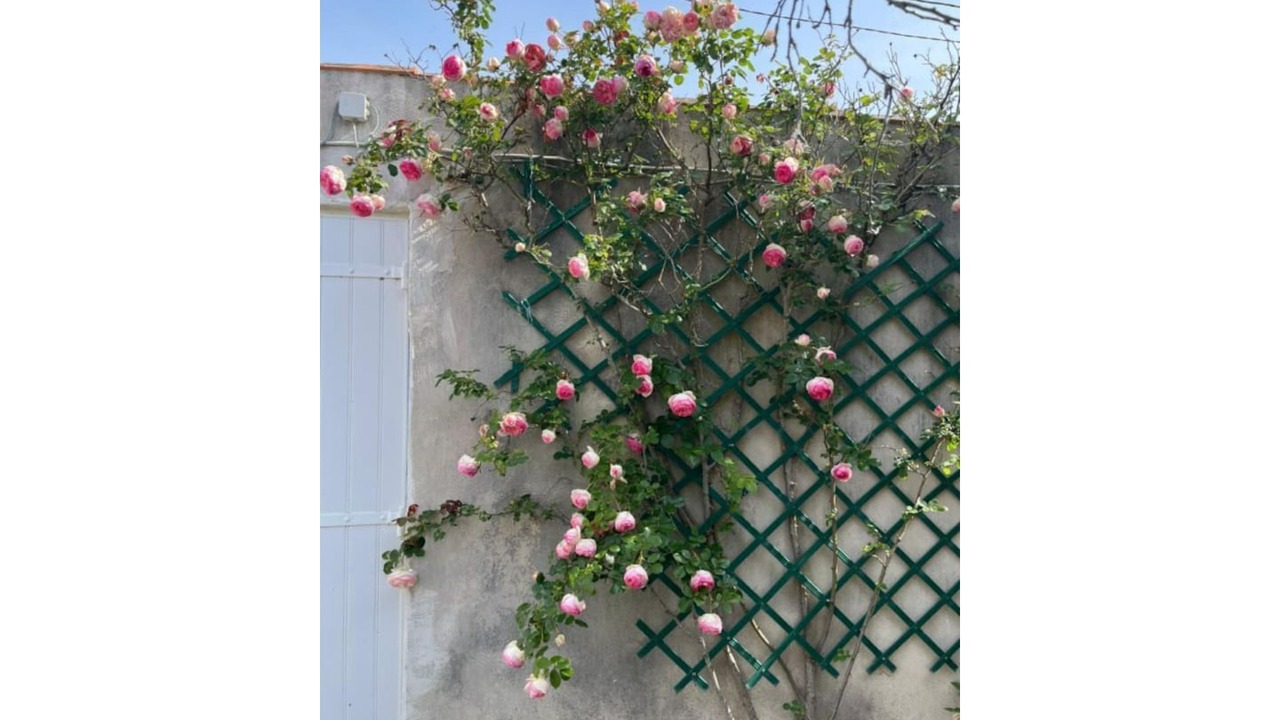 Photo of Outdoor in Bourcefranc-le-Chapus