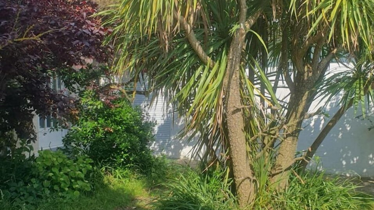 Photo of Others in Bourcefranc-le-Chapus