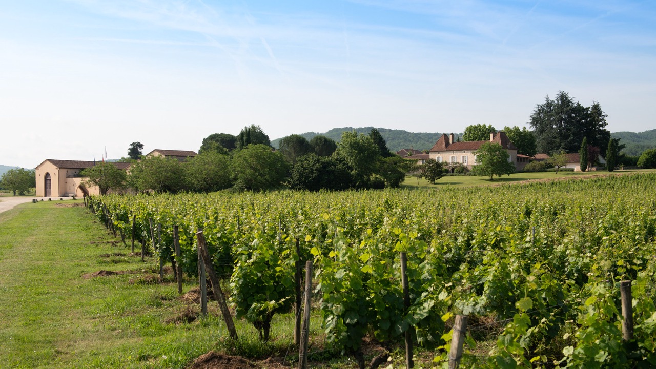 Photo of Outdoor in Puy-l'Eveque
