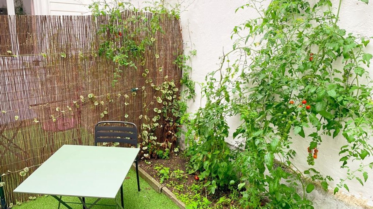 Photo of Outdoor in Tours