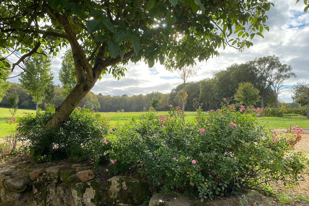 Photo of Outdoor in Sarce