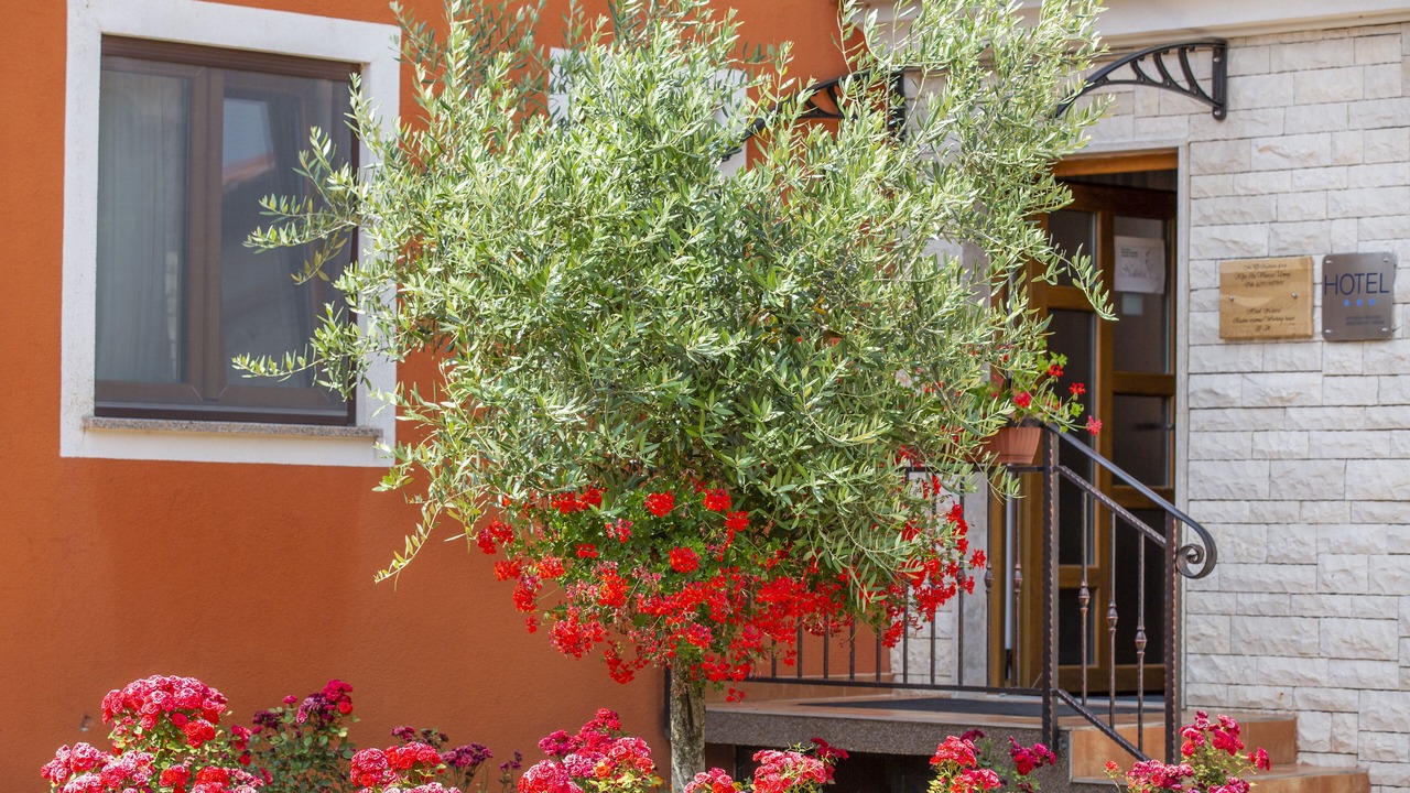 Photo of Outdoor in Vilanija