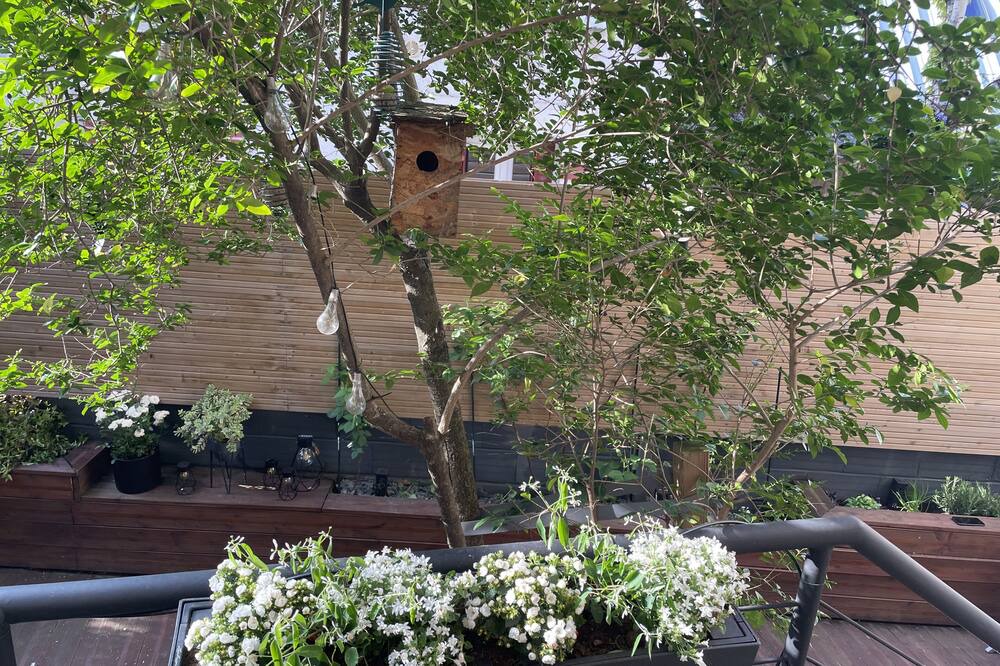 Photo of Outdoor in Colombes