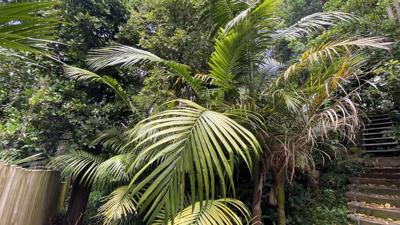 Photo of Outdoor in St. Mary's Bay