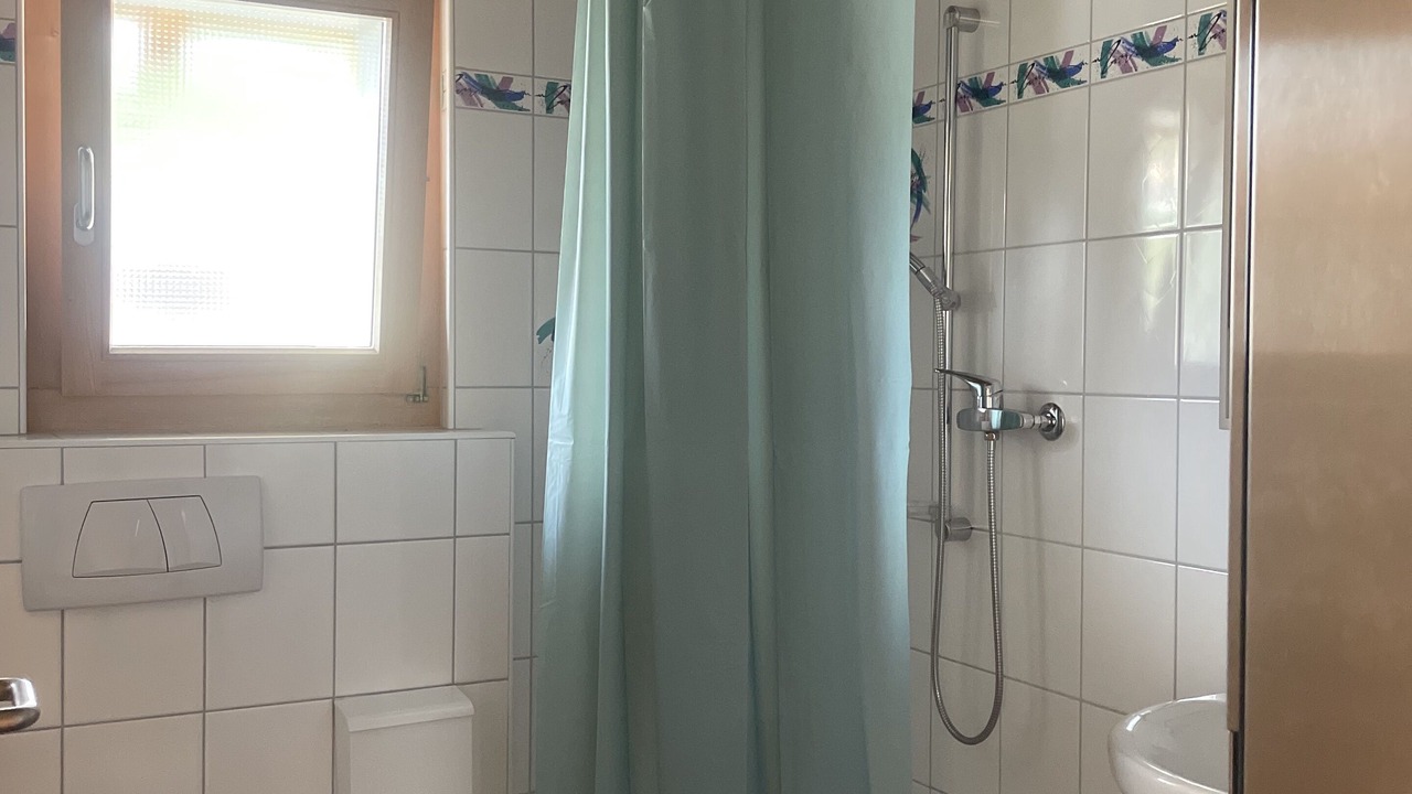 Photo of Bathroom in Feldis/Veulden