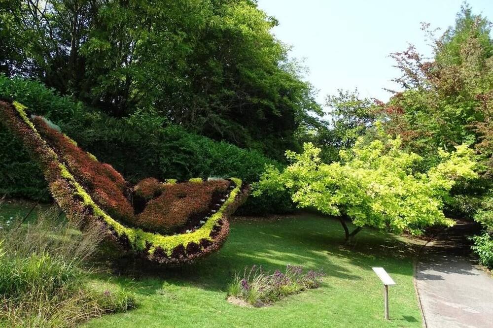 Photo of Outdoor in Saint-Jean Eudes Saint-Gilles