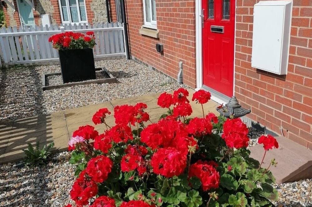 Photo of Outdoor in Red Lodge