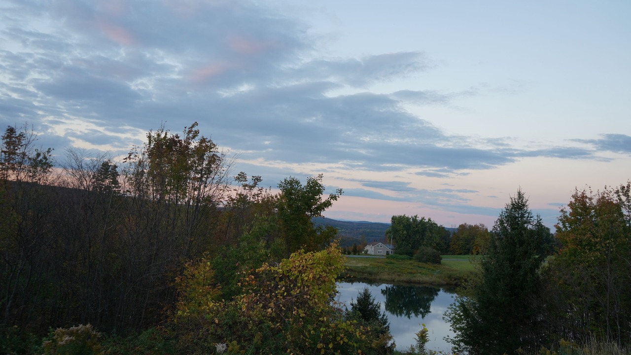 Photo of Others in Summit