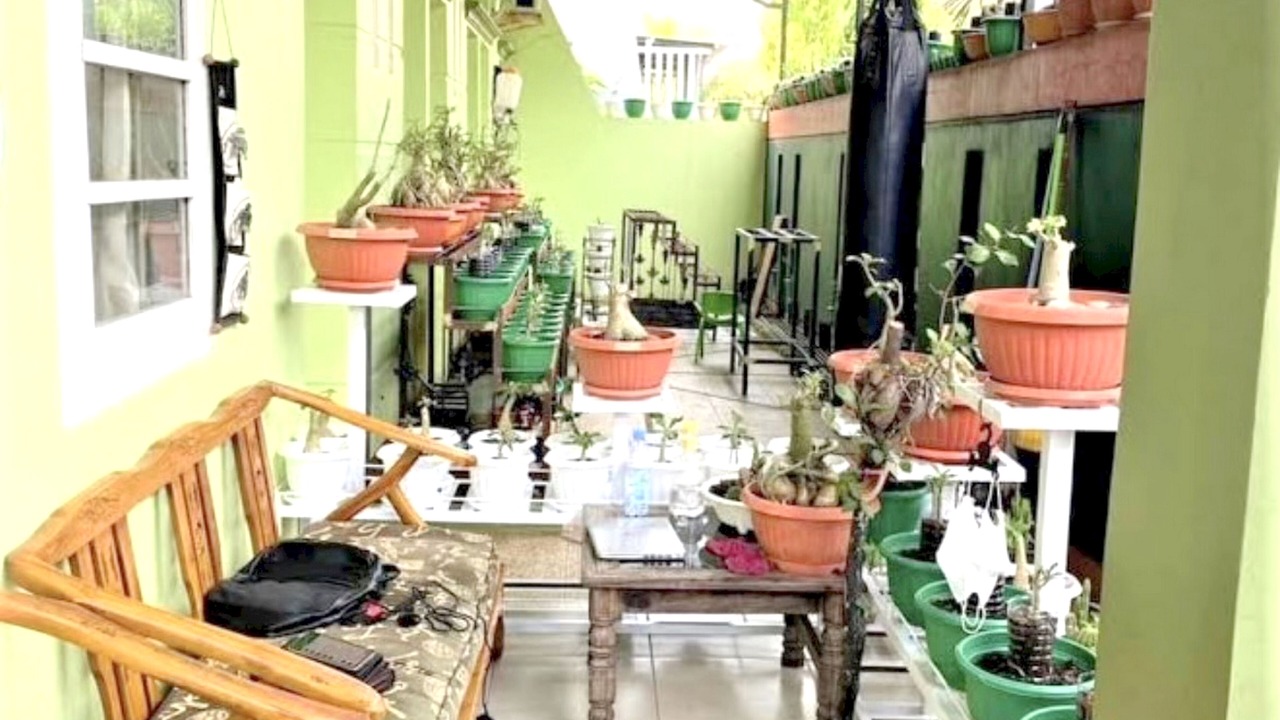 Photo of Outdoor in Makassar
