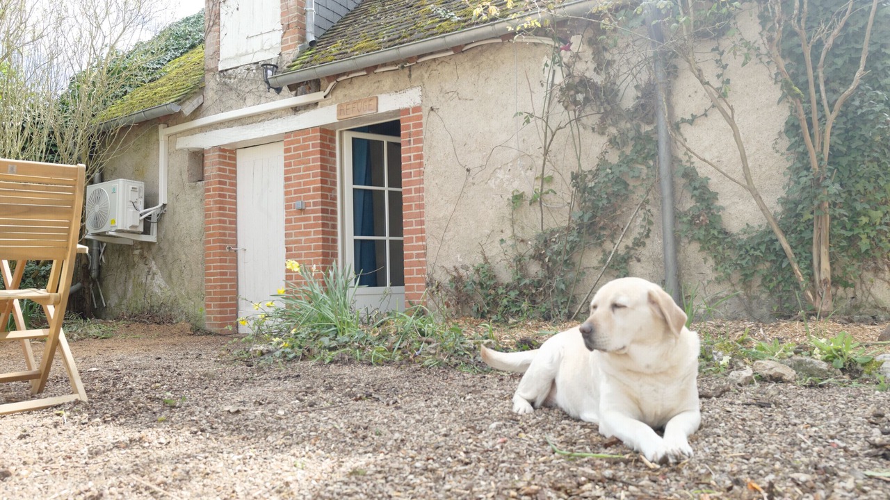 Photo of Outdoor in Saint-Dye-sur-Loire