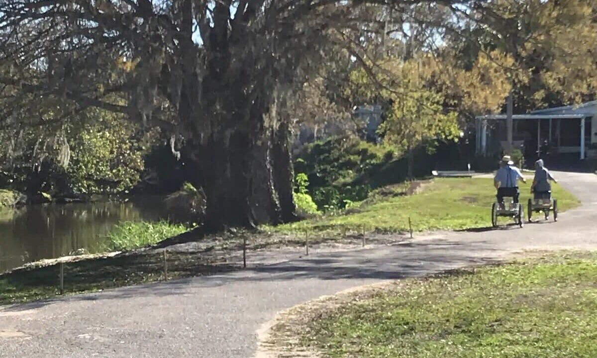 Photo of Outdoor in Southgate
