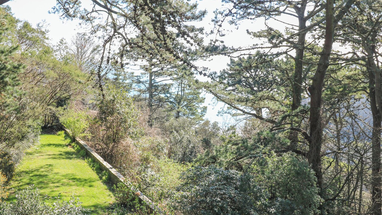 Photo of Outdoor in Salcombe