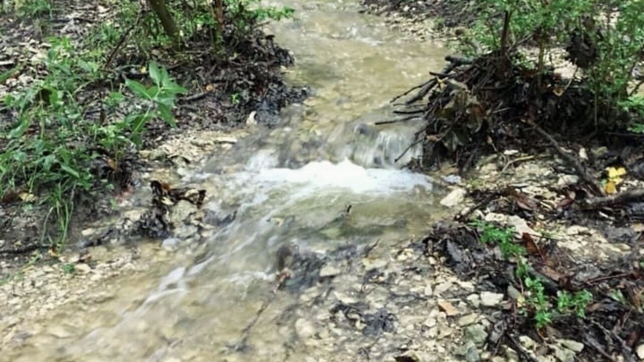 Photo of Outdoor in Gainesville