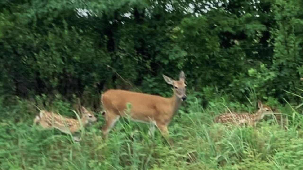 Photo of Outdoor in Gainesville
