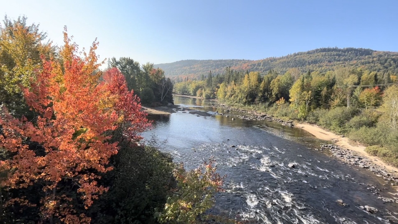 Photo of Others in Mauricie