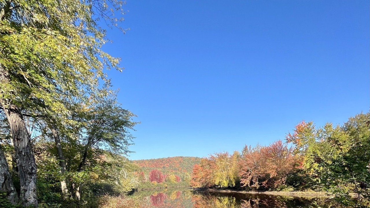 Photo of Others in Mauricie