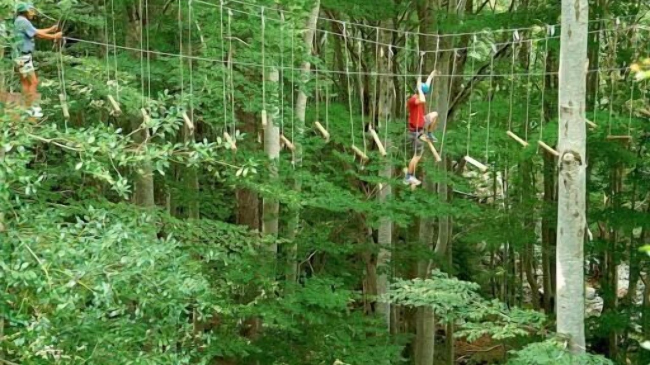 Photo of Outdoor in Nancay