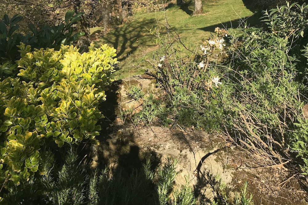 Photo of Outdoor in Veyras