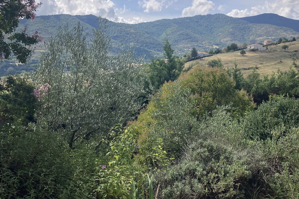 Photo of Others in Veyras