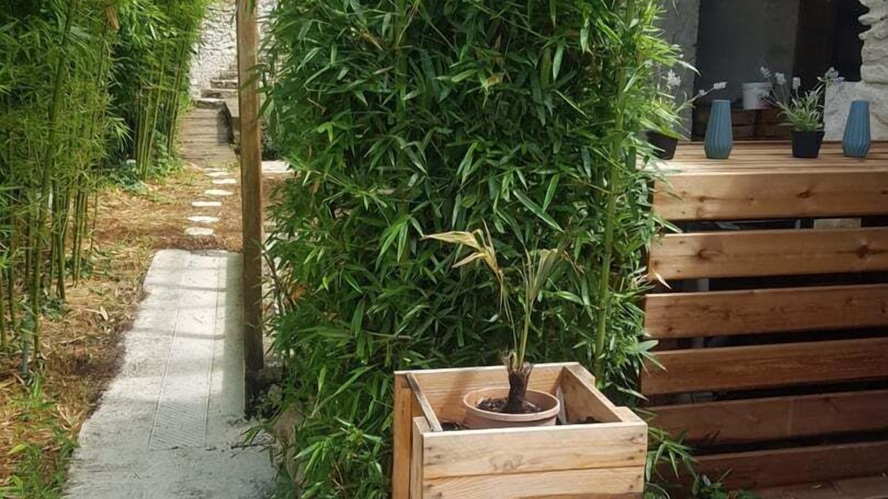 Photo of Outdoor in Genille