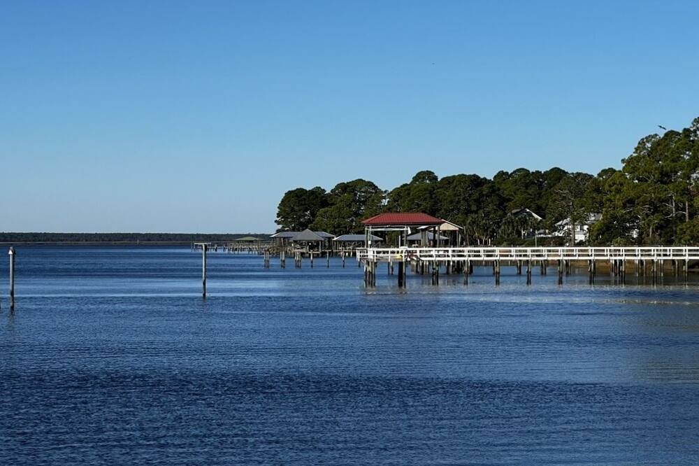 Photo of Others in Ochlockonee Bay