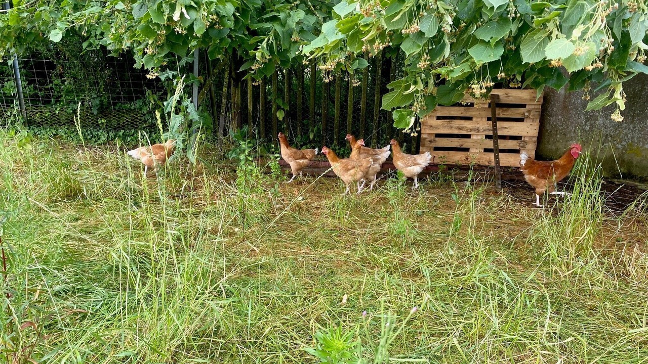 Photo of Outdoor in Chatillon-Coligny